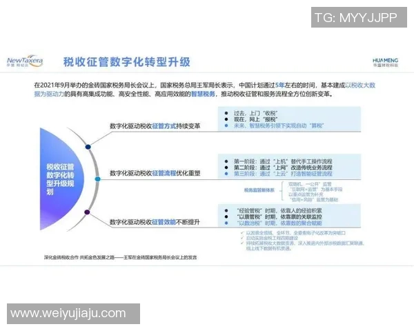 税务数字化转型：推动税收管理创新与税务服务升级的实践与挑战