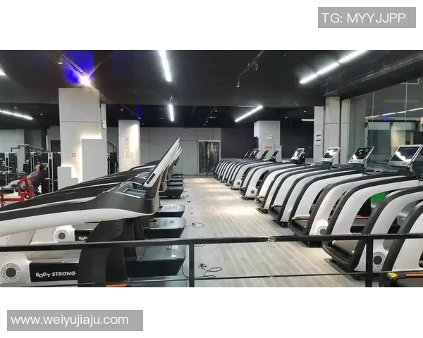 进口健身器材价格与选择:高端设备市场分析 进口健身器材价格与选择:高端设备市场分析