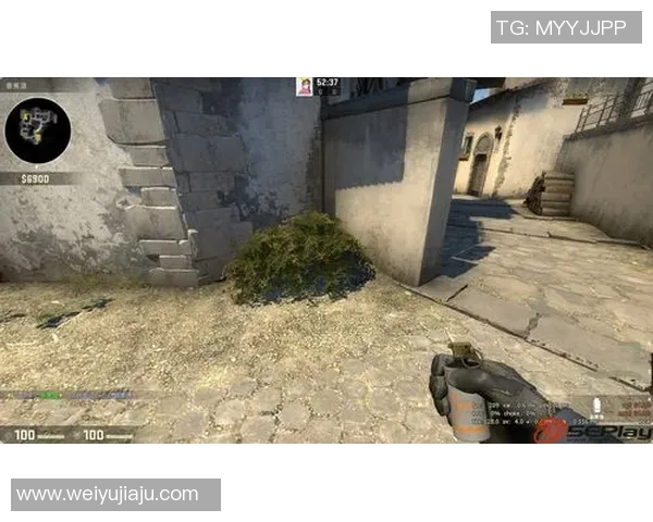 EDG在CSGO比赛中的盯防策略分析与得失总结 EDG在CSGO比赛中的盯防策略分析与得失总结